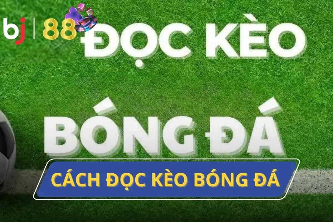 Hướng Dẫn Cách Đọc Kèo Bóng Đá Dễ Hiểu Cho Người Mới