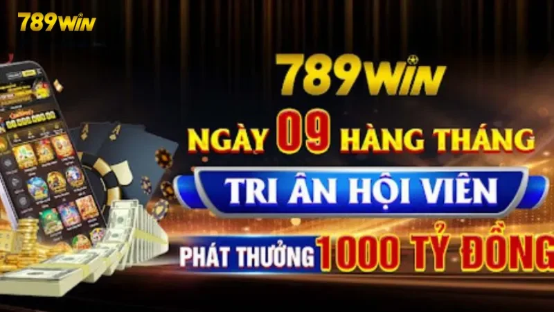 Tổng quan về hệ thống thành viên VIP