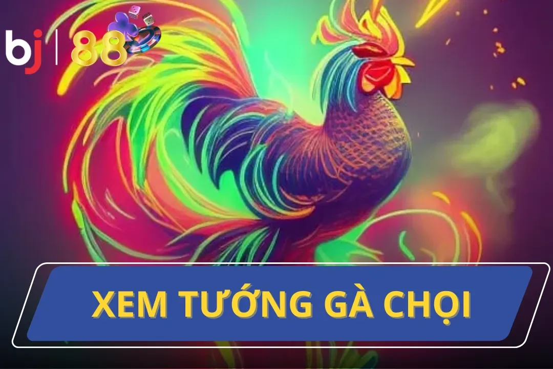 xem tướng gà chọi