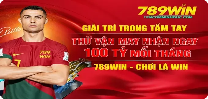đại sứ ảnh 2